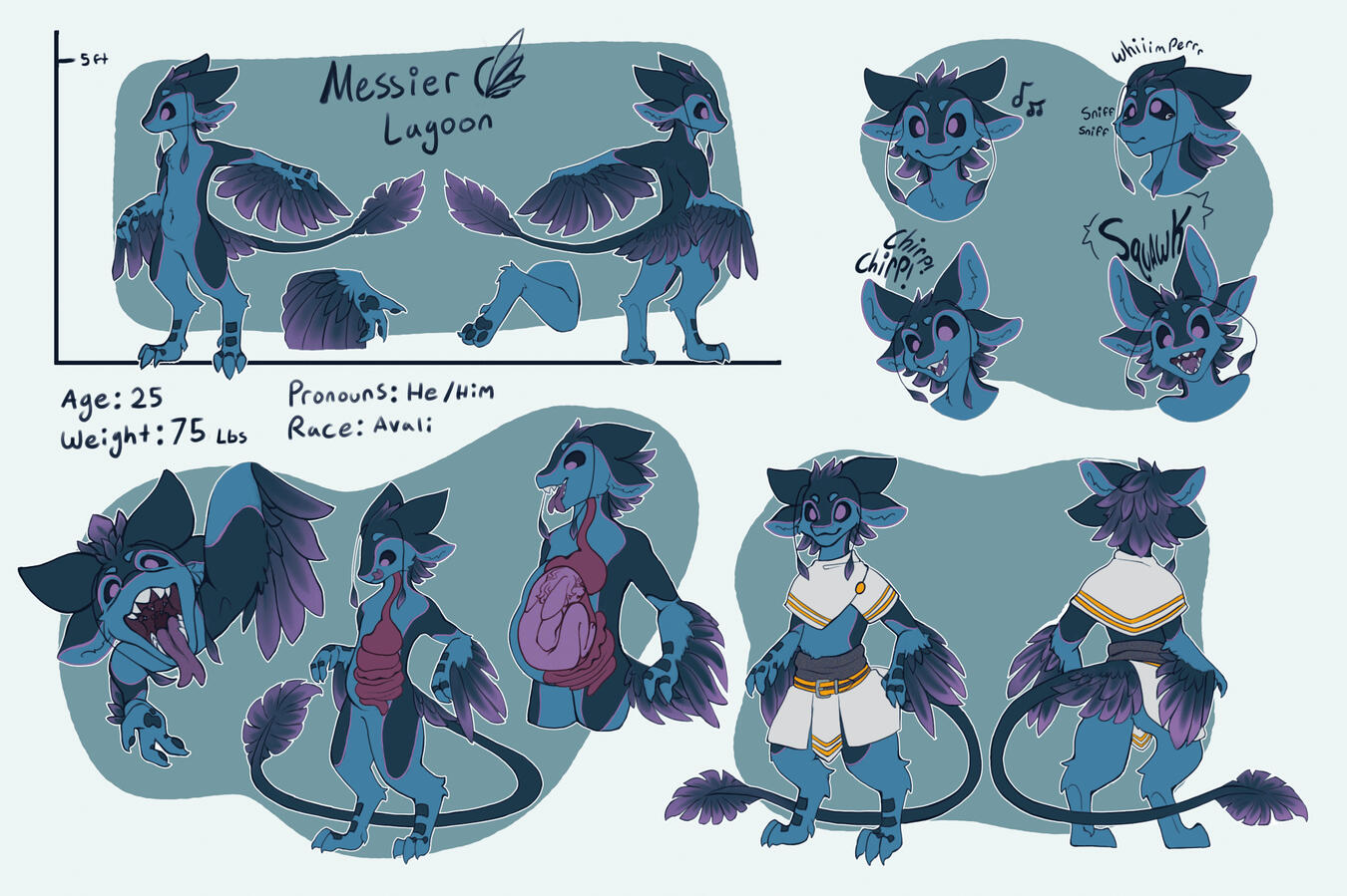 kai ref kai ref